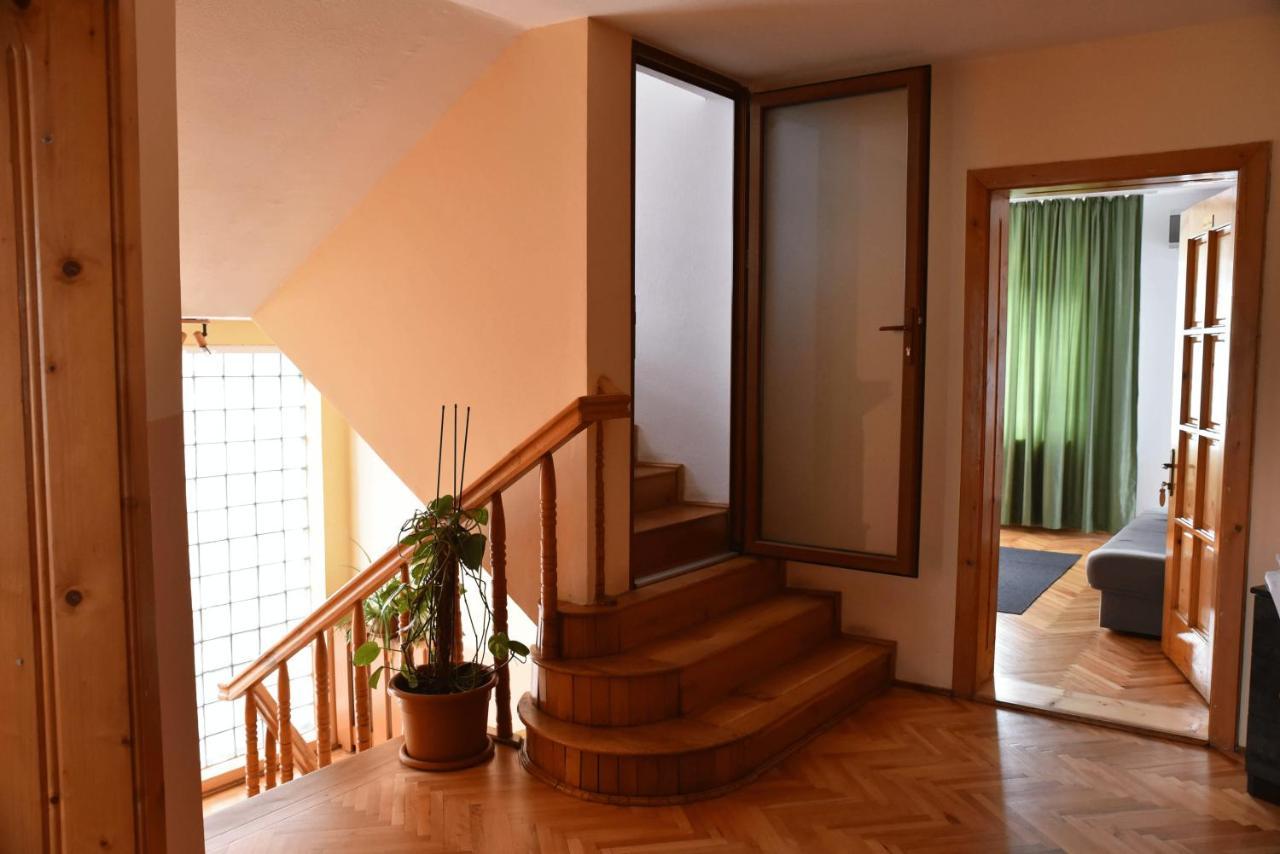 Pensiunea Vila Silva I Haţeg Exterior foto