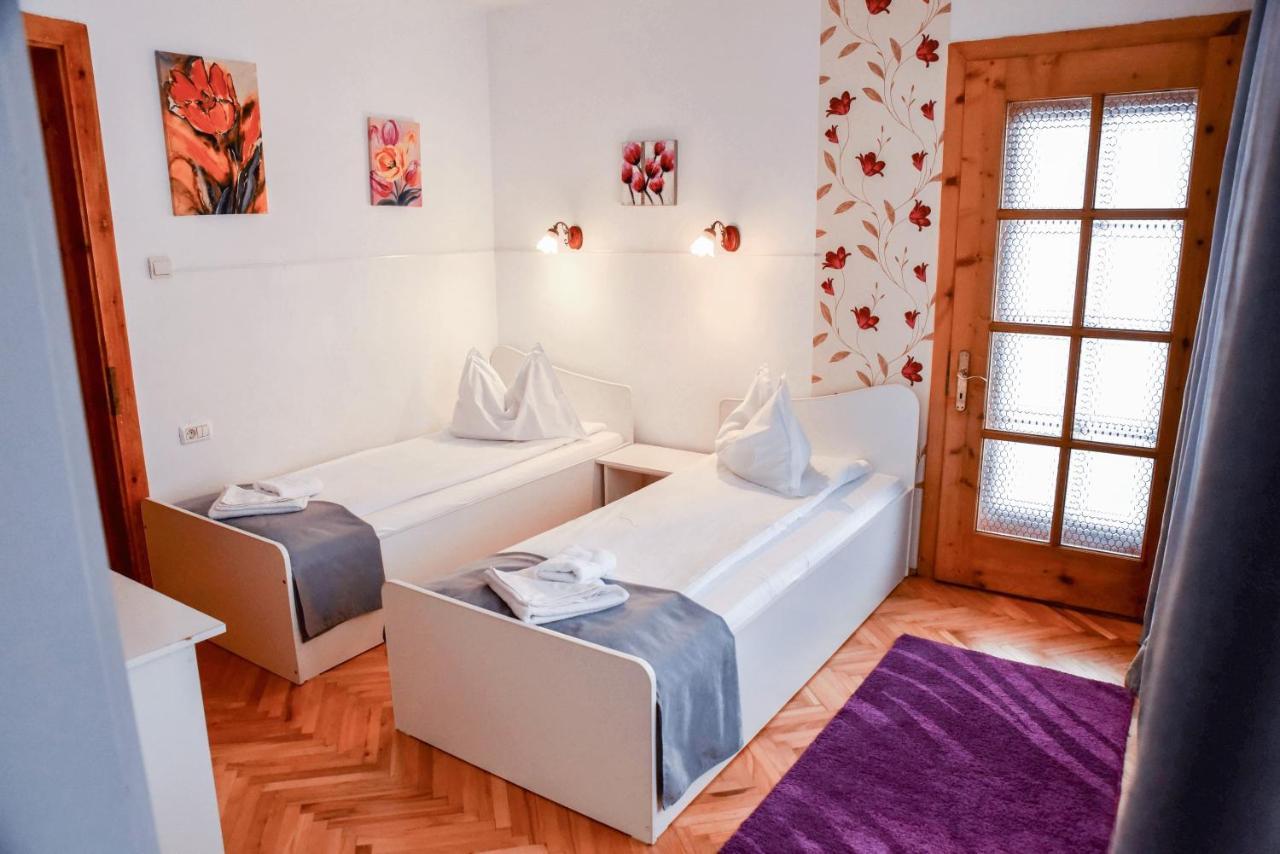 Pensiunea Vila Silva I Haţeg Exterior foto