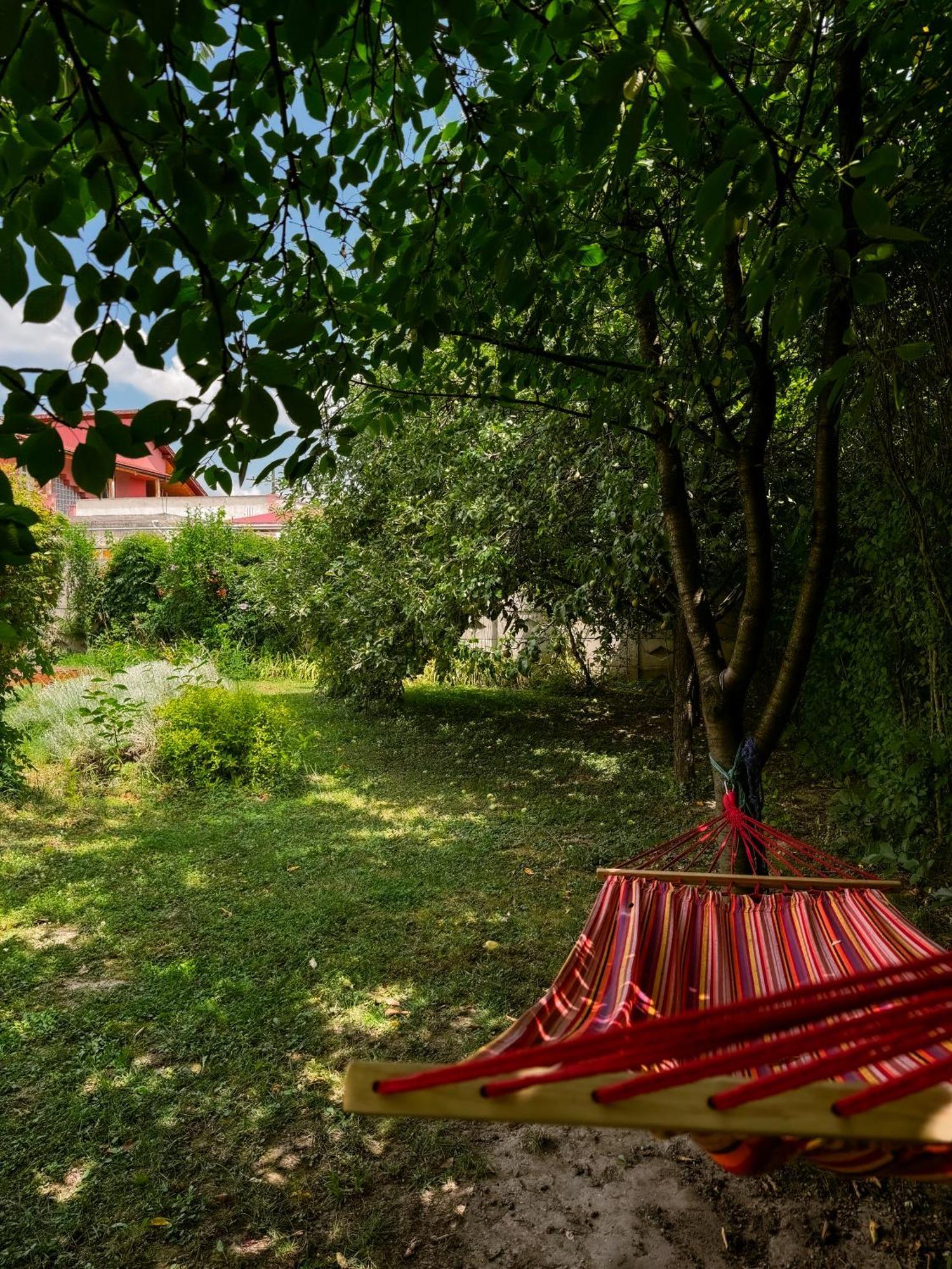 Pensiunea Vila Silva I Haţeg Exterior foto